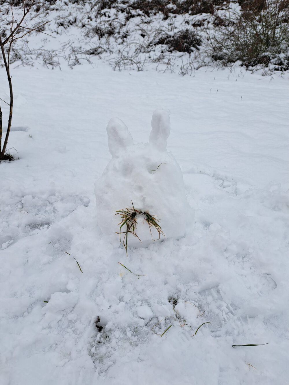2026 01 29 Schnee 5
